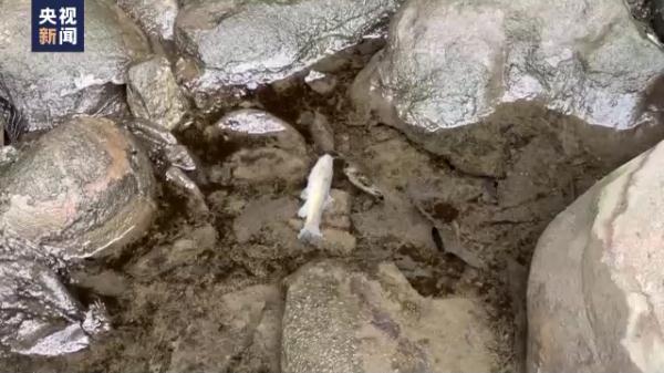 美国俄亥俄州“毒云漫天”!最新消息 美国俄亥俄州“毒云漫天”!最新消息