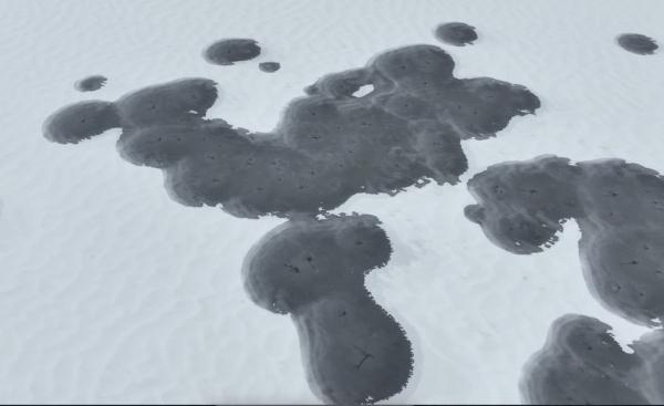 重庆巫溪：红池坝迎立春后首场降雪