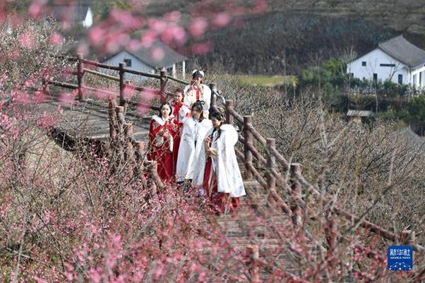 浙江湖州:梅花枝头俏 浙江湖州:梅花枝头俏