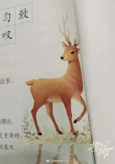 小学生给课本配图挑错后新教材改了 小学生给课本配图挑错后新教材改了