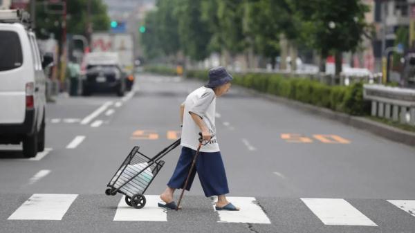 建议日本老人“一起切腹”被批“冷血”！耶鲁教授观点竟圈粉不少