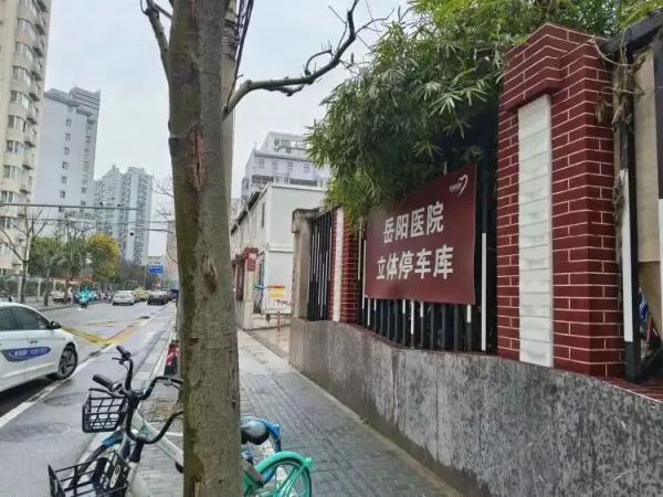 终于开放预约！凌晨开始，有上海人提前3天就开始准备...