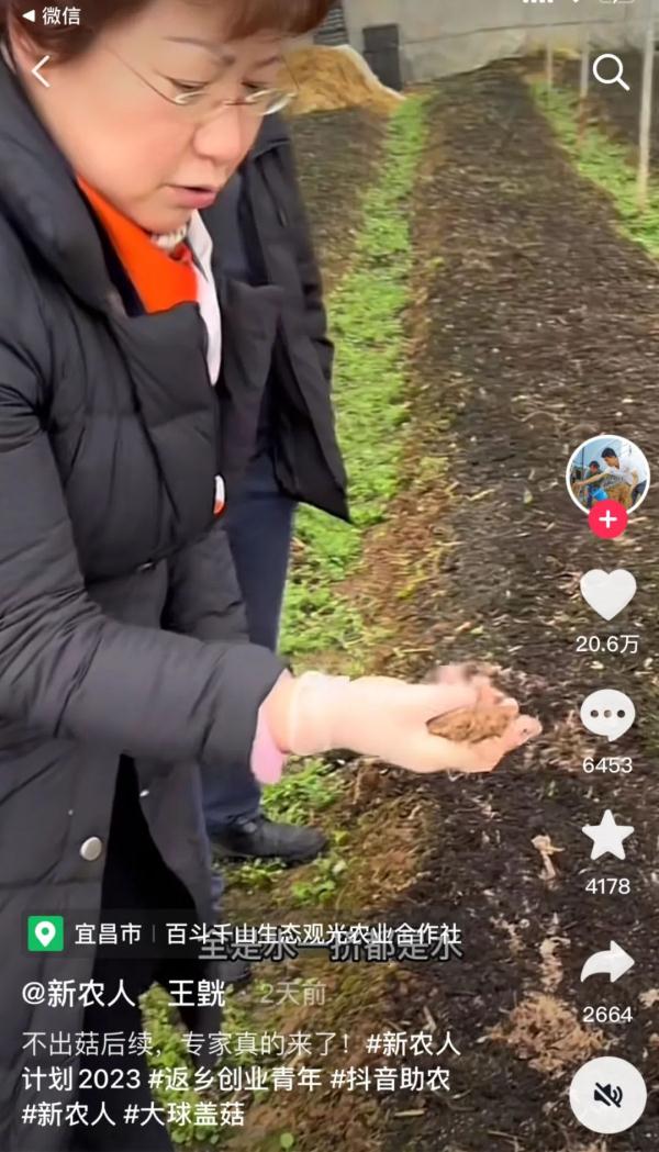 小伙种不出菇网上求助,专家直接上门了 小伙种不出菇网上求助,专家直接上门了