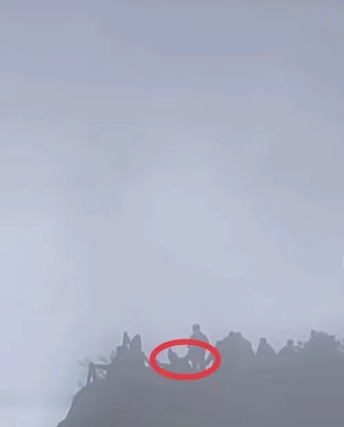 女游客黄山炼丹峰跌落？真相是……