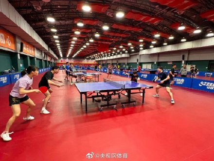 马龙陈梦搭档混双 马龙陈梦搭档混双