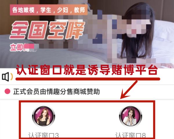 车窗发现小卡片?小心! 车窗发现小卡片?小心!