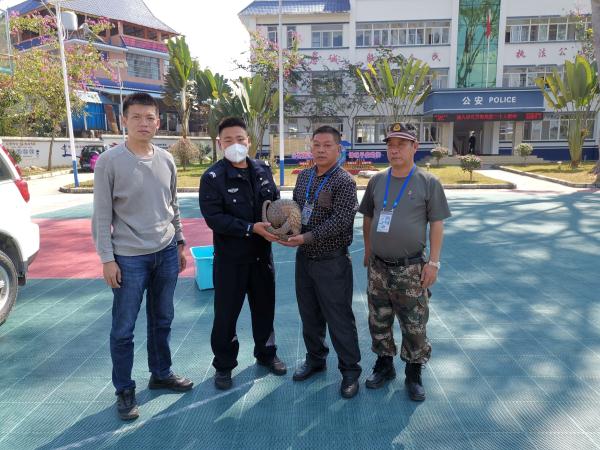 穿山甲溜进警营一点不怵 网友：会爬树的穿山甲头回见