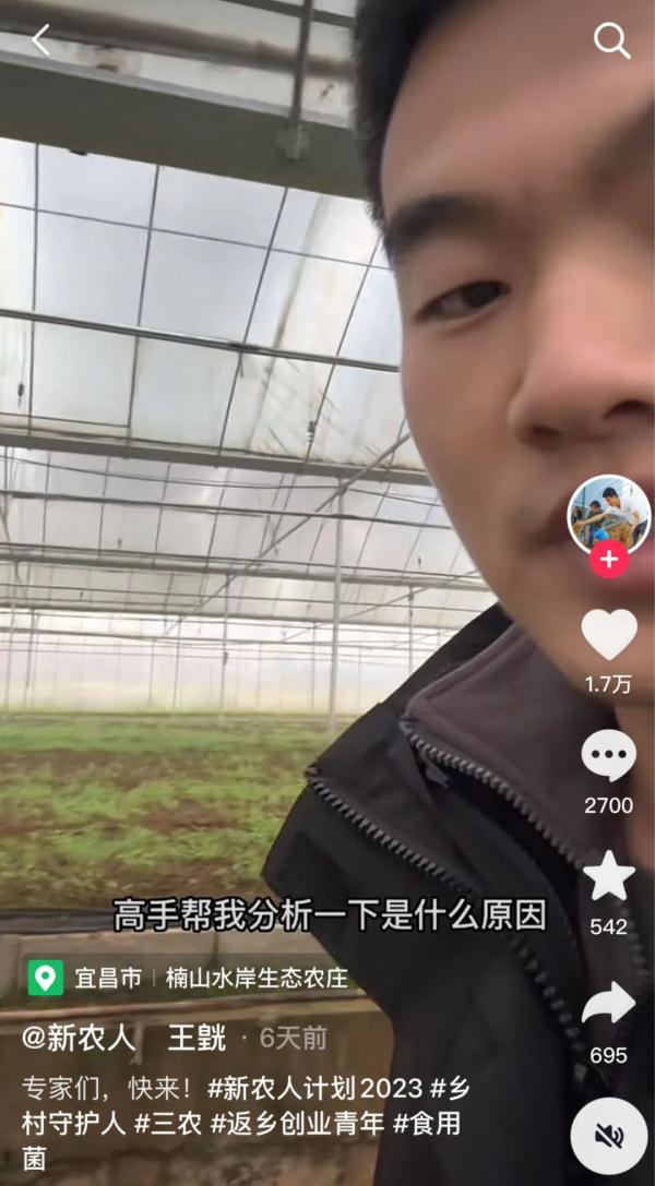 小伙种不出菇网上求助,专家直接上门了 小伙种不出菇网上求助,专家直接上门了