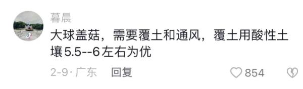 小伙种不出菇网上求助,专家直接上门了 小伙种不出菇网上求助,专家直接上门了