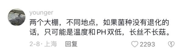 小伙种不出菇网上求助,专家直接上门了 小伙种不出菇网上求助,专家直接上门了