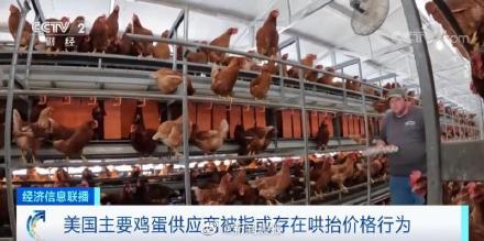 美国人吐槽10元一枚鸡蛋太荒谬