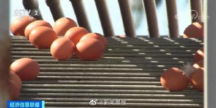 美国人吐槽10元一枚鸡蛋太荒谬