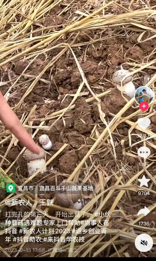 小伙种不出菇网上求助,专家直接上门了 小伙种不出菇网上求助,专家直接上门了