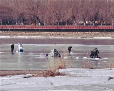 太危险了!沈阳人近期千万别做这件事…… 太危险了!沈阳人近期千万别做这件事……