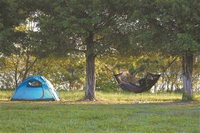 在家门口享受露营的乐趣 我国试点城市公园绿地开放共享