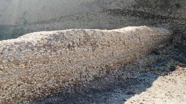 滇文化从哪来?云南古城村遗址有重要发现 滇文化从哪来?云南古城村遗址有重要发现