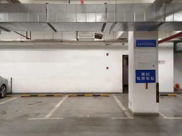 终于开放预约！凌晨开始，有上海人提前3天就开始准备...