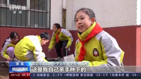 劳动教育 智慧校园……迎接新学期 各地中小学有“新招”→