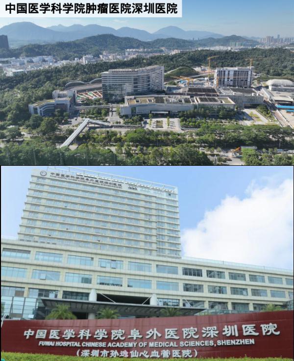 高水平医疗服务体系如何建设？