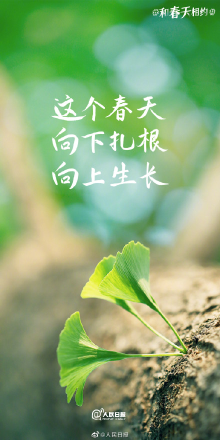不负春光不负己！收藏2023春日加油壁纸