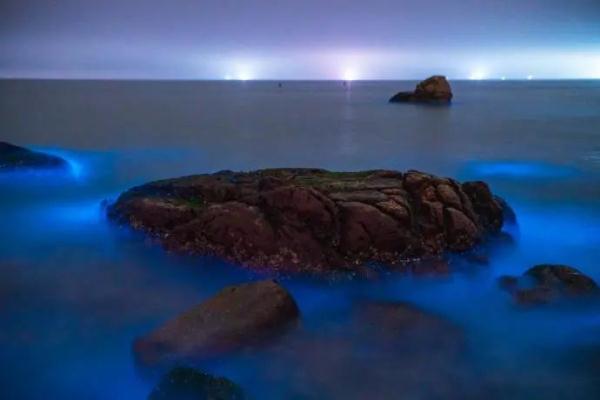 梦幻！珠海“蓝眼泪”奇观似星河落凡间