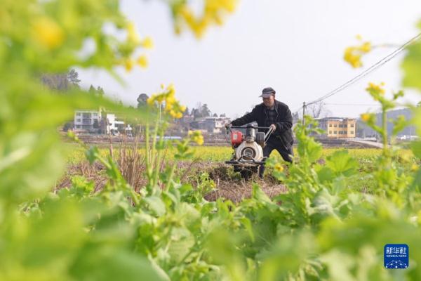 劳作在希望的田野上 劳作在希望的田野上