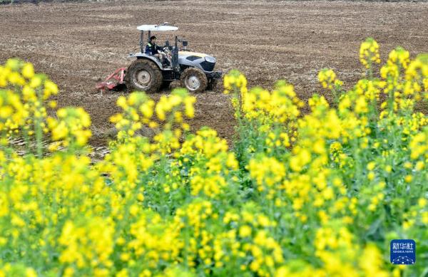 劳作在希望的田野上 劳作在希望的田野上