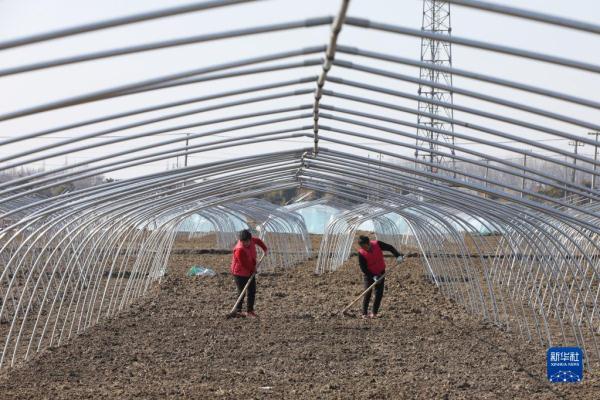 劳作在希望的田野上 劳作在希望的田野上