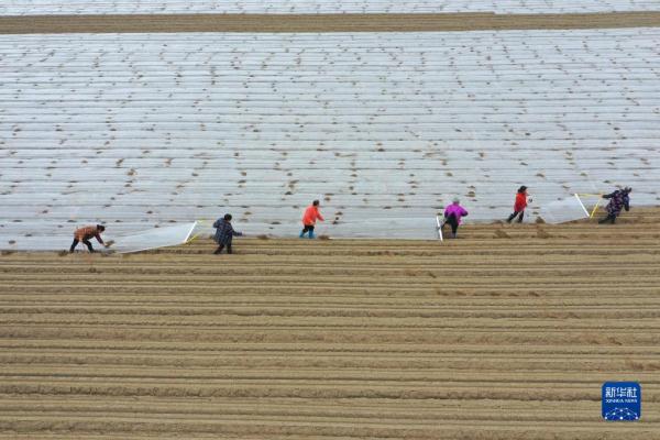 劳作在希望的田野上 劳作在希望的田野上