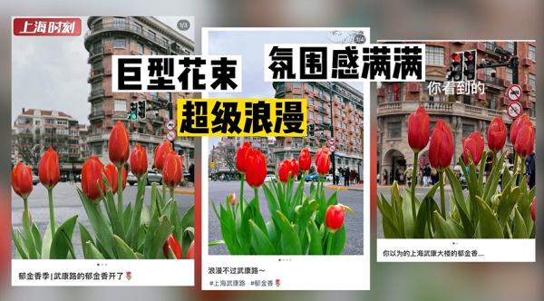 武康大楼郁金香是“照骗”?有人要@国家反诈中心;打卡者有话说→ 武康大楼郁金香是“照骗”?有人要@国家反诈中心;打卡者有话说→