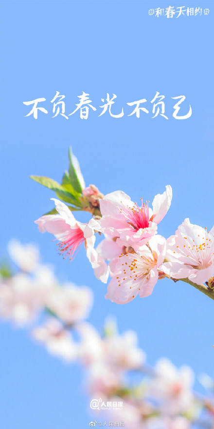 不负春光不负己！收藏2023春日加油壁纸