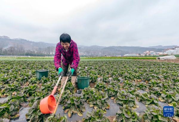 劳作在希望的田野上 劳作在希望的田野上