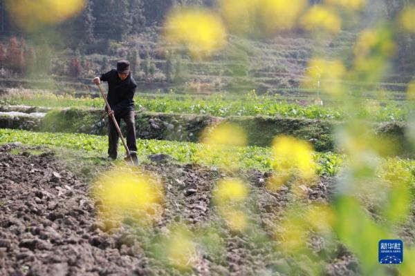 劳作在希望的田野上 劳作在希望的田野上