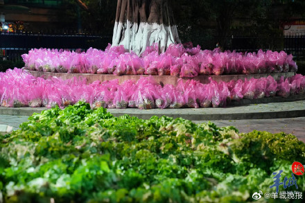 阔别三年，广州荔湾区坑口生菜会热闹回归