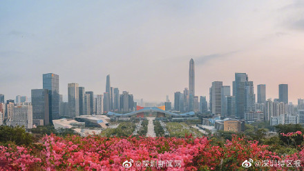 深圳马拉松新线路颜值爆表