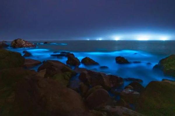 梦幻！珠海“蓝眼泪”奇观似星河落凡间