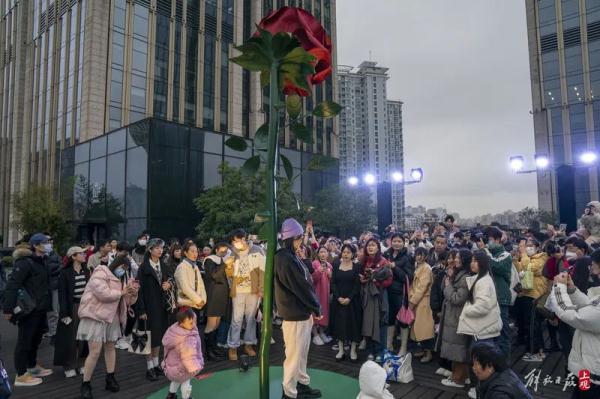 两三百人同时打卡！结果看到真相后，网友都被气笑了…