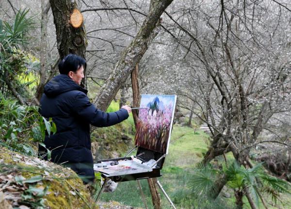 在绵阳，遇见“梅”好！平武县梅花节开启四川绵阳春季文旅季