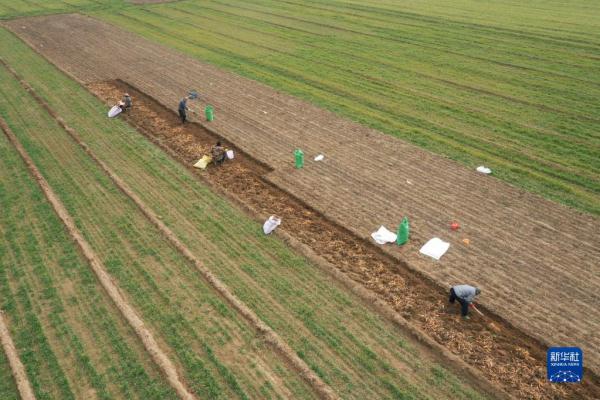 劳作在希望的田野上 劳作在希望的田野上