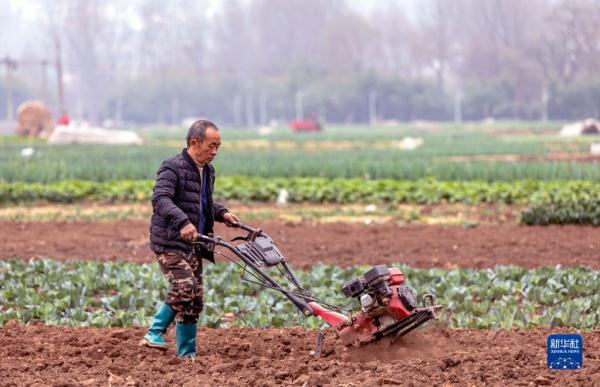 劳作在希望的田野上 劳作在希望的田野上