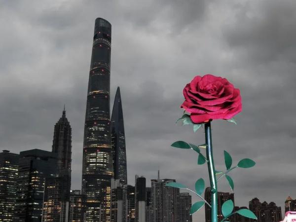 两三百人同时打卡！结果看到真相后，网友都被气笑了…