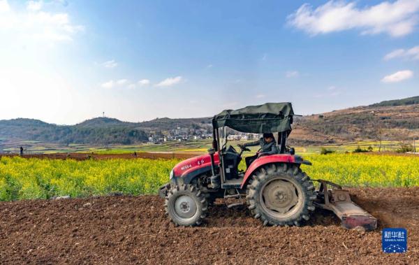 劳作在希望的田野上 劳作在希望的田野上