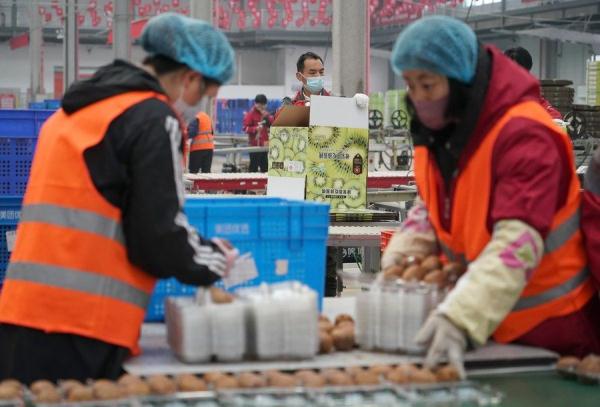 中国西部县域经济发展助力“家门口”就业
