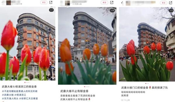 7朵郁金香撑起整条武康路流量？网友吵翻，上海真正的赏花打卡点在这些地方→