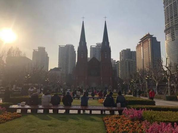 上海又排起长队，几百人等着和网红合影！看到现场的人都气笑了……