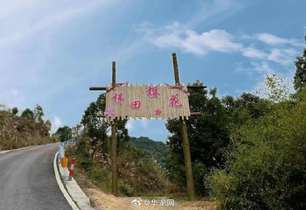 重庆新增一处赏花圣地 黄金谷景区19日开园 重庆新增一处赏花圣地 黄金谷景区19日开园
