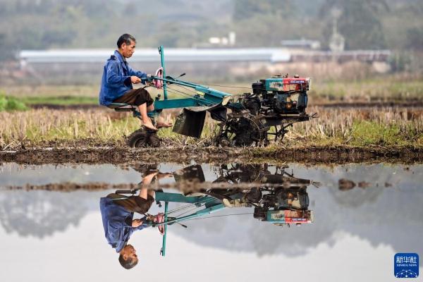 壮乡春耕忙 壮乡春耕忙