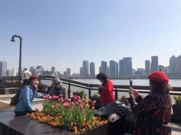 上海又排起长队，几百人等着和网红合影！看到现场的人都气笑了……