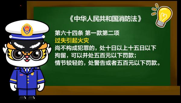 根据《中华人民共和国消防法》王某的行为已构成违法行为经上海市公安