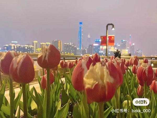 7朵郁金香撑起整条武康路流量？网友吵翻，上海真正的赏花打卡点在这些地方→